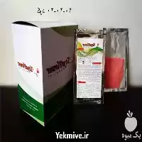 قیمت خرید عمده کاکتوس در تهران در گروه خرید و فروش گیاهان زینتی در یکمیوه