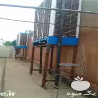 قیمت خرید پد کولر گلخانه در تهران در گروه خرید و فروش تجهیزات گلخانه در یکمیوه