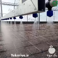 قیمت خرید آبیاری گلخانه تولید نشا در گروه خرید و فروش دستگاه نشا در یکمیوه