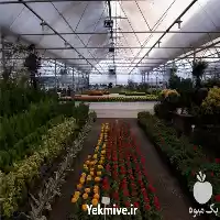 قیمت خرید پد کولر گلخانه ای در گروه خرید و فروش تجهیزات گلخانه در یکمیوه