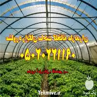 ساخت احداث گلخانه با بهترین کیفیت در گروه سازنده در یکمیوه