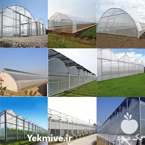 طراحی ساخت انواع سازهای گلخانه ای در تهران در گروه سازنده در یکمیوه -عکس1