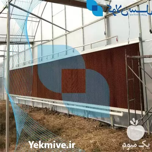 قیمت خرید پد سلولزی کولان سل در گروه خرید و فروش تجهیزات گلخانه در یکمیوه -عکس1