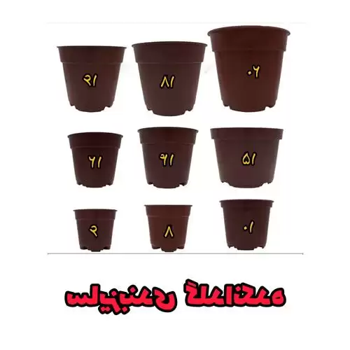 قیمت خرید سینی نشاء سینی کشت در تهران در گروه خرید و فروش نشا در یکمیوه -عکس1