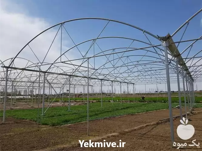 فروش طراحی مشاوره ساخت اجرا گلخانه در گروه خرید و فروش تجهیزات گلخانه در یکمیوه -عکس1