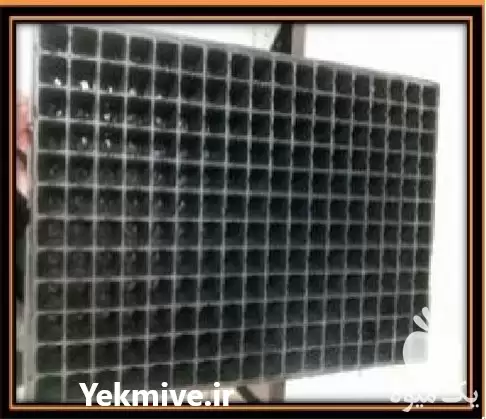 قیمت خرید سینی نشاء در یزد در گروه خرید و فروش نشا در یکمیوه -عکس1