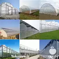طراحی ساخت انواع سازهای گلخانه ای در تهران در گروه سازنده در یکمیوه