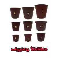 قیمت خرید سینی نشاء سینی کشت در تهران در گروه خرید و فروش نشا در یکمیوه