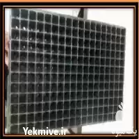 قیمت خرید سینی نشاء در یزد در گروه خرید و فروش نشا در یکمیوه