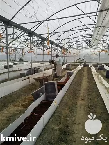 تولید و فروش نایلون کشاورزی در گروه خرید و فروش بسته بندی نایلونی در یکمیوه -عکس1