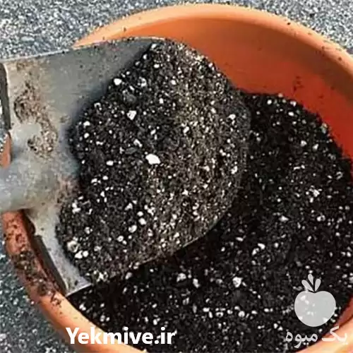 فروش خاک نشاء در گروه خرید و فروش نشا در یکمیوه -عکس1