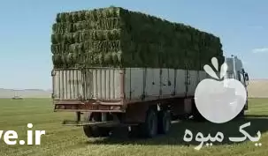 فروش یونجه و پرس کلش در گروه خوراک دام و طیور در یکمیوه -عکس1