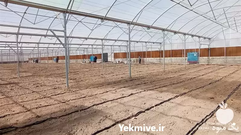 ساخت گلخانه و تجهیزات گلخانه ای در گروه سازنده در یکمیوه -عکس1