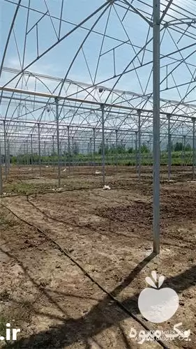 ساخت گلخانه در ساری در گروه سازنده در یکمیوه -عکس1