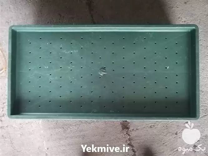 قیمت خرید سینی نشاء برنج در رشت در گروه خرید و فروش نشا در یکمیوه -عکس1