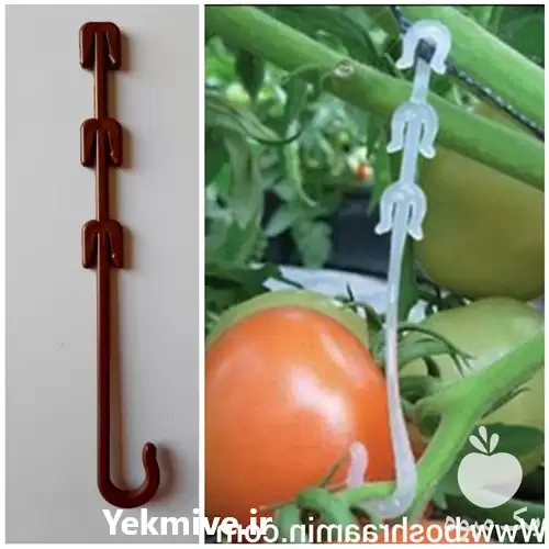 فروش قلاب نگهدارنده خوشه قلاب عصایی در تهران در گروه خرید و فروش تجهیزات گلخانه در یکمیوه -عکس1