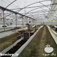 تولید و فروش نایلون کشاورزی در گروه خرید و فروش بسته بندی نایلونی در یکمیوه