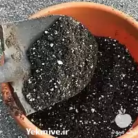 فروش خاک نشاء در گروه خرید و فروش نشا در یکمیوه