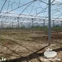ساخت گلخانه در ساری در گروه سازنده در یکمیوه
