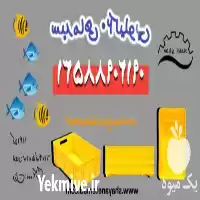 قیمت خرید سبد باسکت ماهی میگو در قزوین در گروه خرید و فروش انواع سبد در یکمیوه