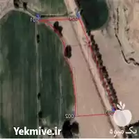 دعوت به مشارکت در تاسیس گلخانه در تهران در گروه سازنده در یکمیوه