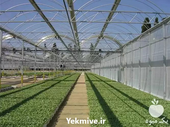 قیمت ساخت و نصب انواع گلخانه در گروه سازنده در یکمیوه -عکس1