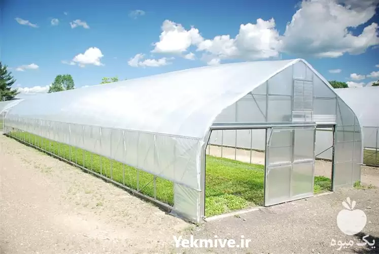 ساخت سازه گلخانه با قیمت مناسب در گروه سازنده در یکمیوه -عکس1