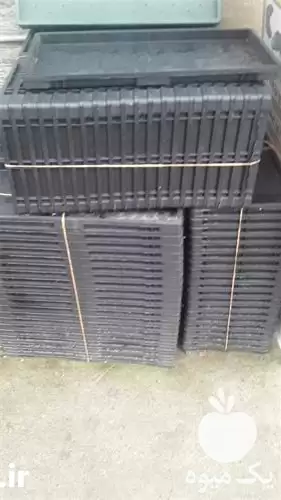 فروش تولید پخش مستقیم سینی نشا در رشت در گروه خرید و فروش نشا در یکمیوه -عکس1