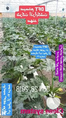 مشاوره و آموزش کشت هیدروپونیک در تهران در گروه دوره آموزش کشاورزی در یکمیوه -عکس1