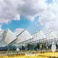 گلخانه شیشه ای ساخت گلخانه در ساری در گروه سازنده در یکمیوه