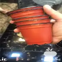 قیمت خرید گلدان ژله ای رنگی در گروه خرید و فروش گلدان در یکمیوه