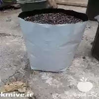 قیمت خرید نایلون گروبگ کشاورزی در مشهد در گروه خرید و فروش بسته بندی نایلونی در یکمیوه