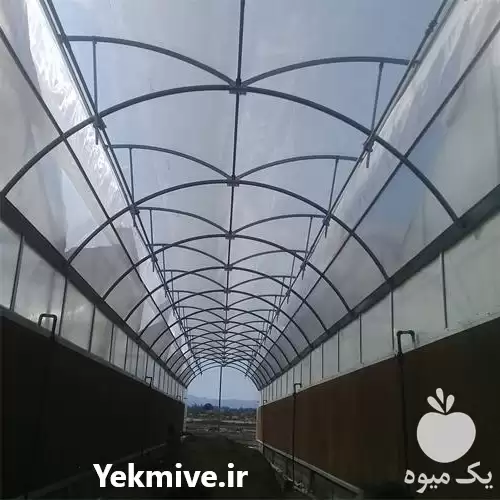قیمت خرید اجرای گلخانه صنعتی فلزی در اصفهان در گروه خرید و فروش سوله و سازه گلخانه در یکمیوه -عکس1