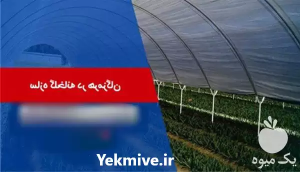 قیمت خرید ساخت اجرای انواع سازه در هرمز در گروه خرید و فروش سوله و سازه گلخانه در یکمیوه -عکس1