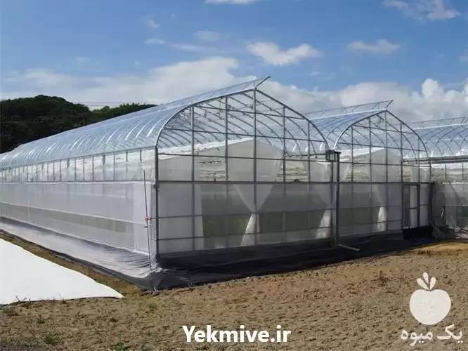 ساخت سازه گلخانه در گروه سازنده در یکمیوه -عکس1