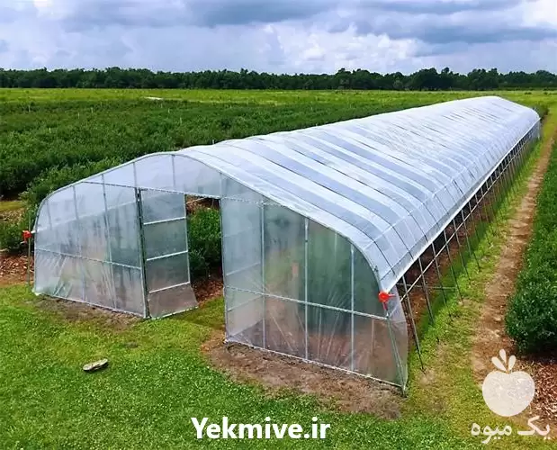 ساخت گلخانه اسپانیایی گاتیک در شیراز در فارس در گروه سازنده در یکمیوه -عکس1