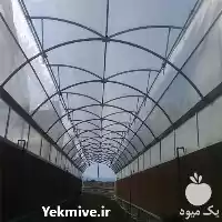 قیمت خرید اجرای گلخانه صنعتی فلزی در اصفهان در گروه خرید و فروش سوله و سازه گلخانه در یکمیوه