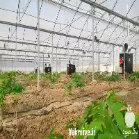 تجهیزات گلخانه ای خرید گلخانه در ساری در گروه خرید و فروش تجهیزات گلخانه در یکمیوه