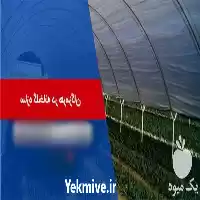 قیمت خرید ساخت اجرای انواع سازه در هرمز در گروه خرید و فروش سوله و سازه گلخانه در یکمیوه