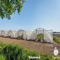 خدمات ساخت و نصب گلخانه در هرمز در گروه سازنده در یکمیوه