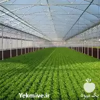 ساخت گلخانه صنعتی در کرج در گروه سازنده در یکمیوه