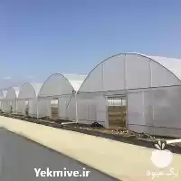 پروفیل گلخانه در همدان در گروه سازنده در یکمیوه