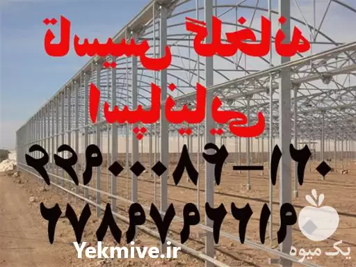 قیمت خرید تاسیس گلخانه اسپانیایی در تهران در گروه خرید و فروش سوله و سازه گلخانه در یکمیوه -عکس1