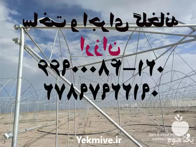 ساخت و اجرای گلخانه ارزان در تهران در گروه سازنده در یکمیوه -عکس1