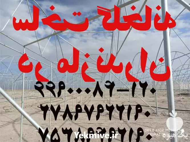 ساخت ساز طراحی گلخانه در کرانه در ساری در گروه سازنده در یکمیوه -عکس1