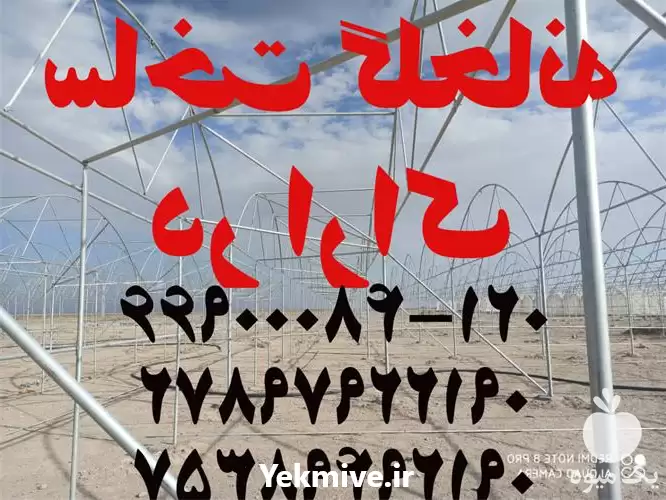 ساخت و ساز گلخانه با بالاترین در تهران در گروه سازنده در یکمیوه -عکس1