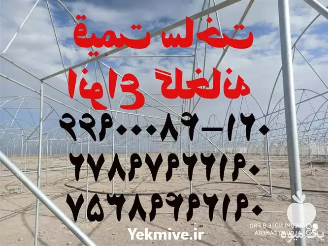 قیمت ساخت انواع گلخانه در گروه سازنده در یکمیوه -عکس1