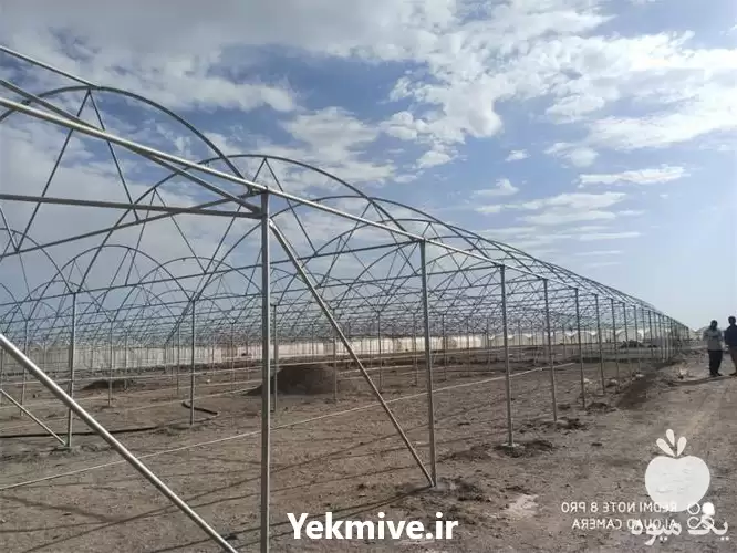 قیمت خرید تولید در تهران در گروه خرید و فروش سوله در یکمیوه -عکس1