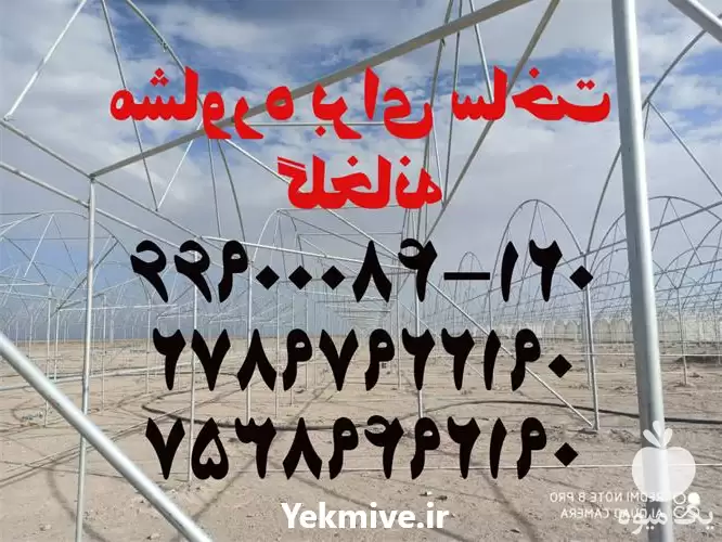 فروش مشاوره ساخت طراحی راه اندازی در اصفهان در گروه خرید و فروش سوله و سازه گلخانه در یکمیوه -عکس1
