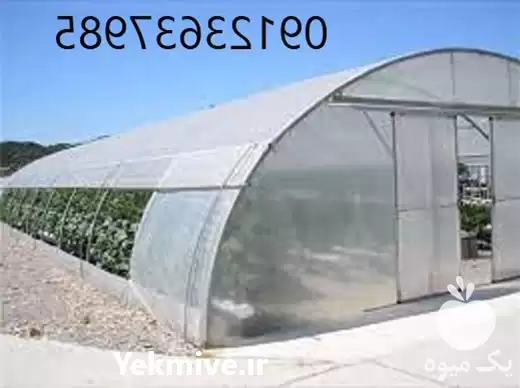 اجرای گلخانه صنعتی برزنتی در گروه سازنده در یکمیوه -عکس1